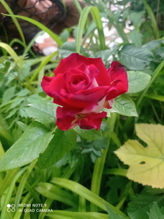 Квартира Уютная комната в частном доме — Заозёрное