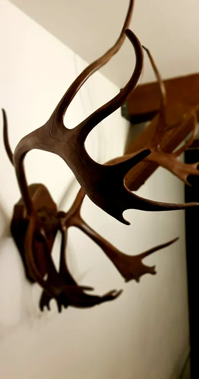 Апартаменты Шале рядом со склоном Вудъявр