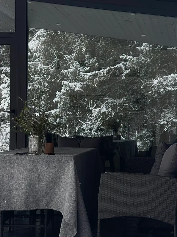 Домик на Новогодние праздники с панорамными окнами в лесу