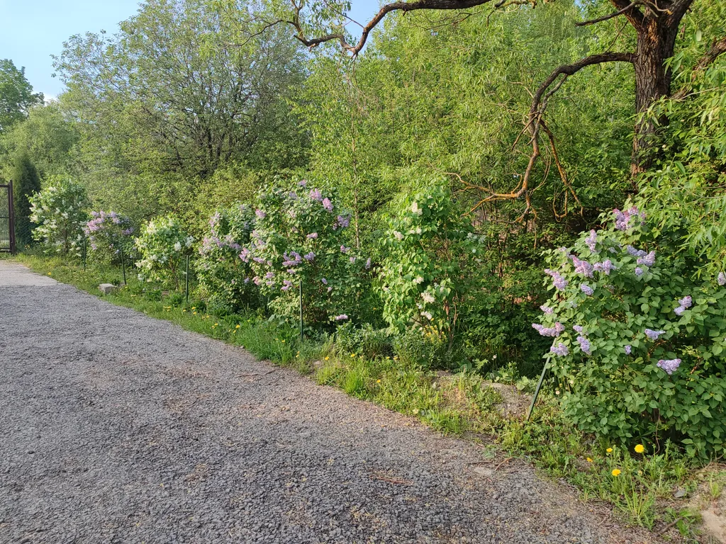 Квартира 1-комнатная Квартира — Ульяновка