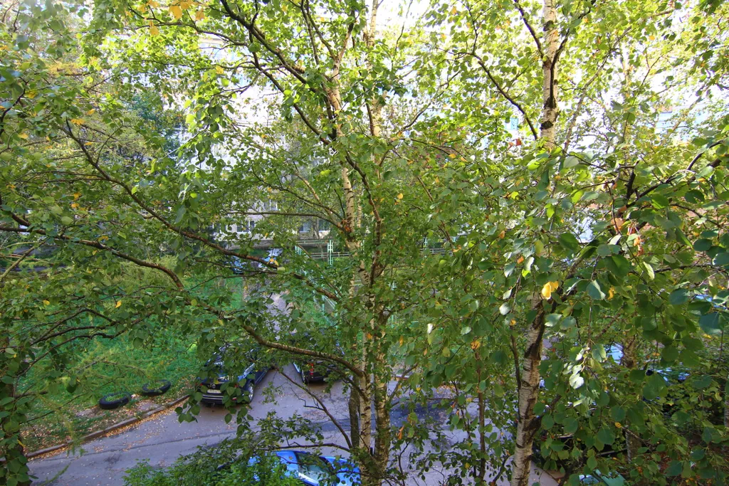 Трёхкомнатная квартира класса стандарт в спальном районе города