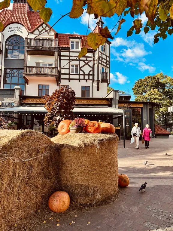 Квартира Квартира "Тихий Час" у Моря - забудь о суете — Зеленоградск