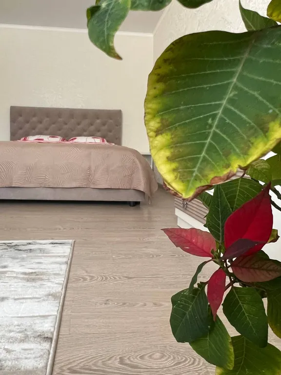 Уютная квартира с абсолютно новым ремонтом и техникой