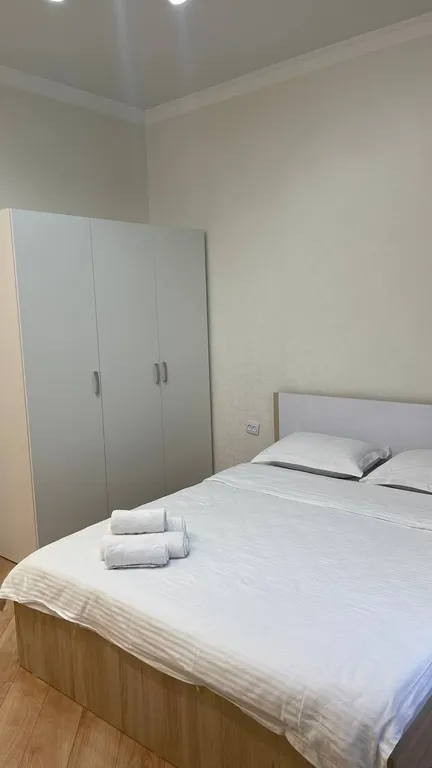 Комфортные апартаменты в центре Астаны