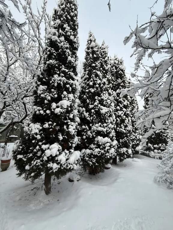 4-комнатный Дом