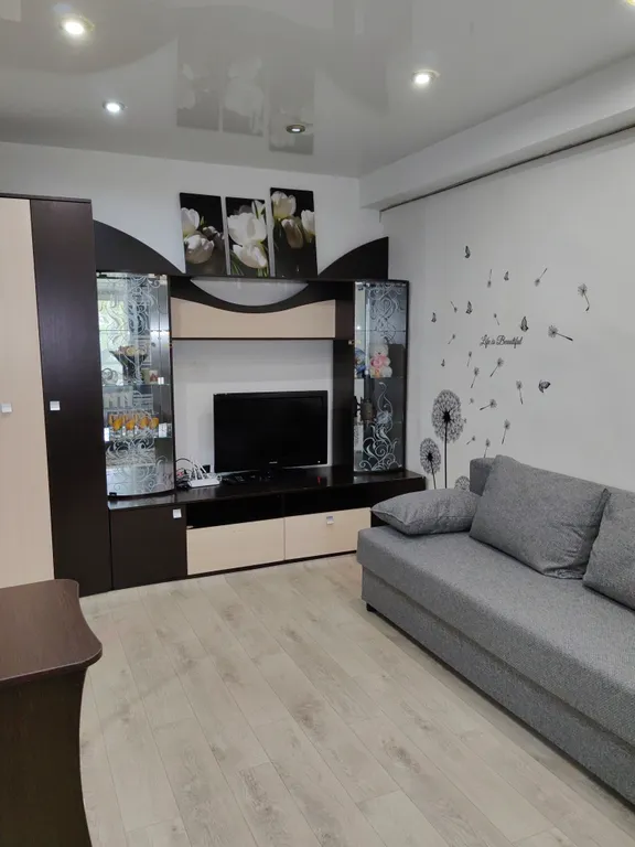 Уютная однокомнатная квартира в центре города