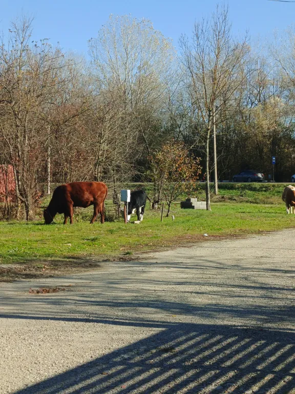 Коттедж Шале Айдаред - отдых в ритме природы — Северская
