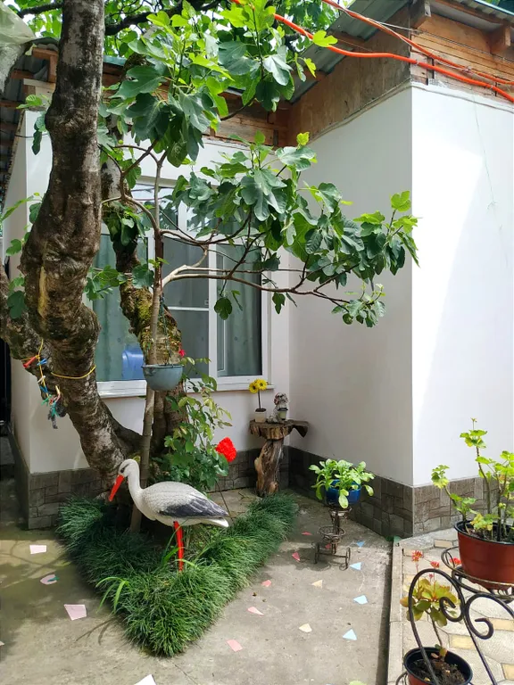 Коттедж Дом в живописном ущелье — Гагра