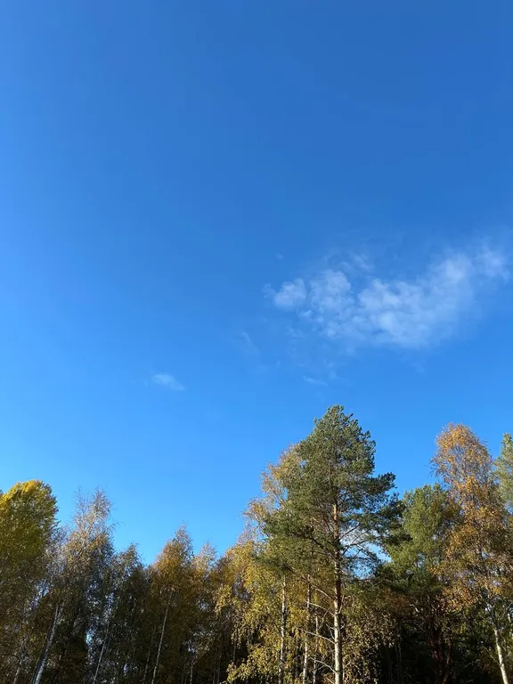 Дом Karelia Haus Онежский берег