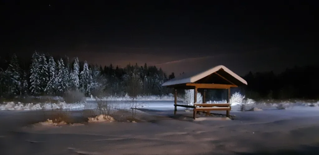 Дом на берегу озера у леса