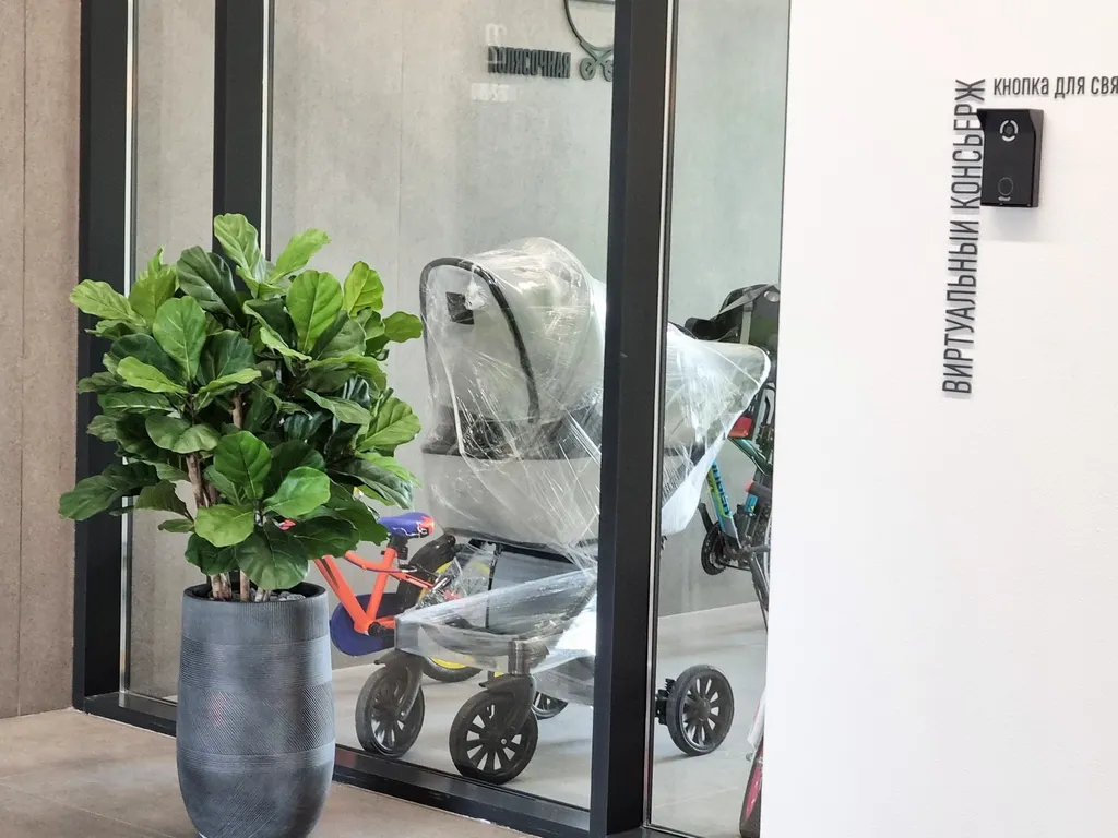 Студия Любимка в Зеландии