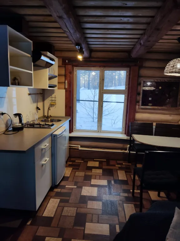 Просторный деревянный лесной дом с двумя спальнями