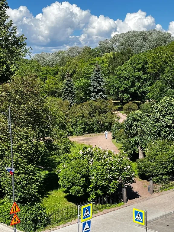 Апартаменты с видом на парк