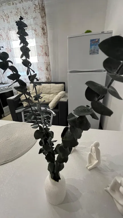 Большая, уютная квартира