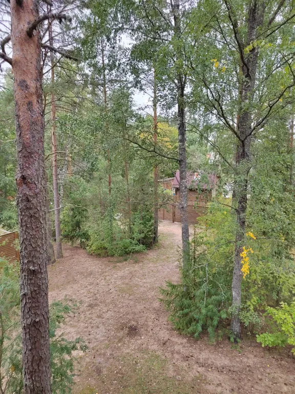 Коттедж Дом для отдыха рядом с рекой Луга — Луга