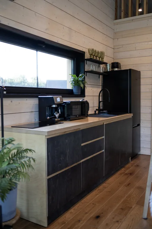 Шале Domingo Dacha