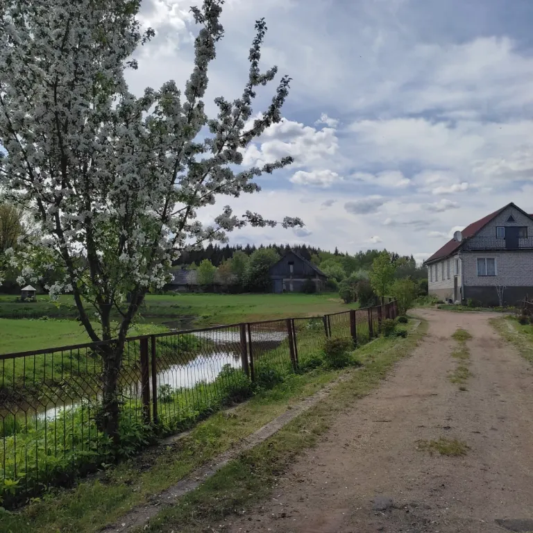 Коттедж Дом для отдыха — аренда посуточно в Витебск