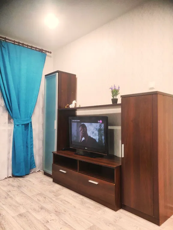 Однокомнатная квартира в центре города