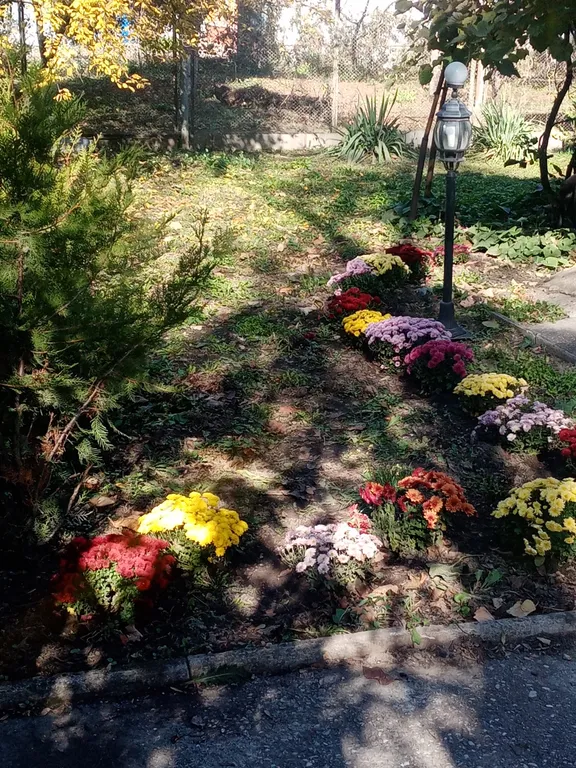 Комната для гостей города