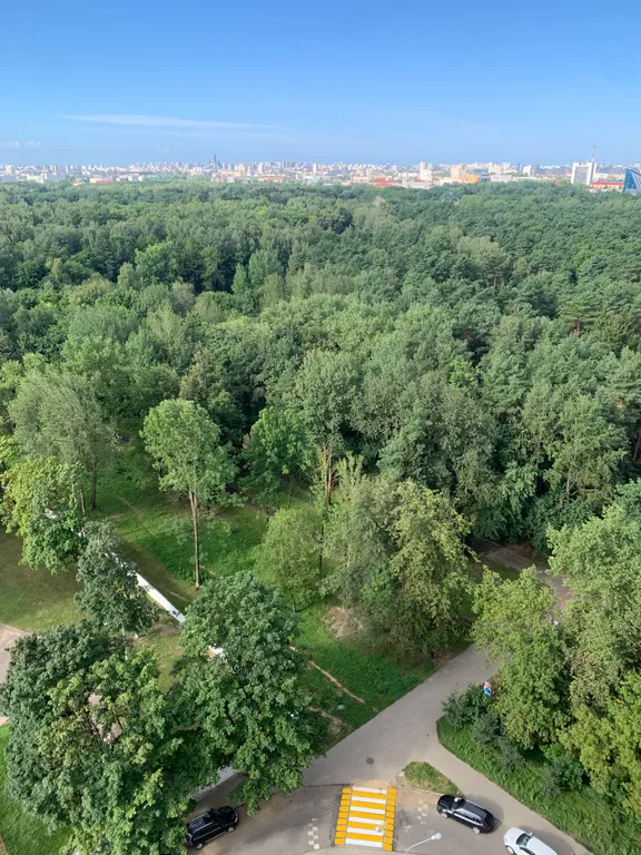Квартира Уютная квартира в центре города с видом на парк Челюскинцев — Минск