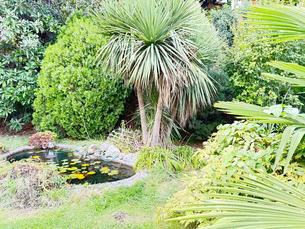 Солнце Ялты у моря с теплым бассейном