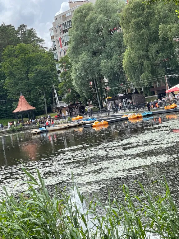 Уютная квартира с видом на озеро и сосновый лес