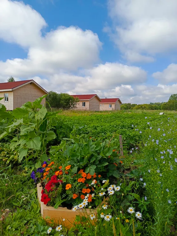 Коттедж Коттедж на базе отдыха Карловка — Чудово