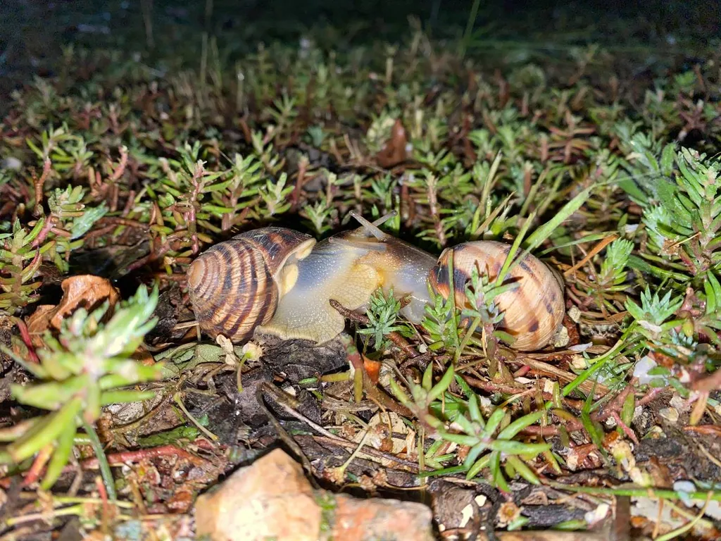 Видовая квартира со свежим ремонтом Учкуевка