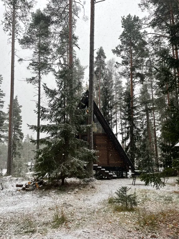 A-frame у Финского Залива посреди Корабельных сосен