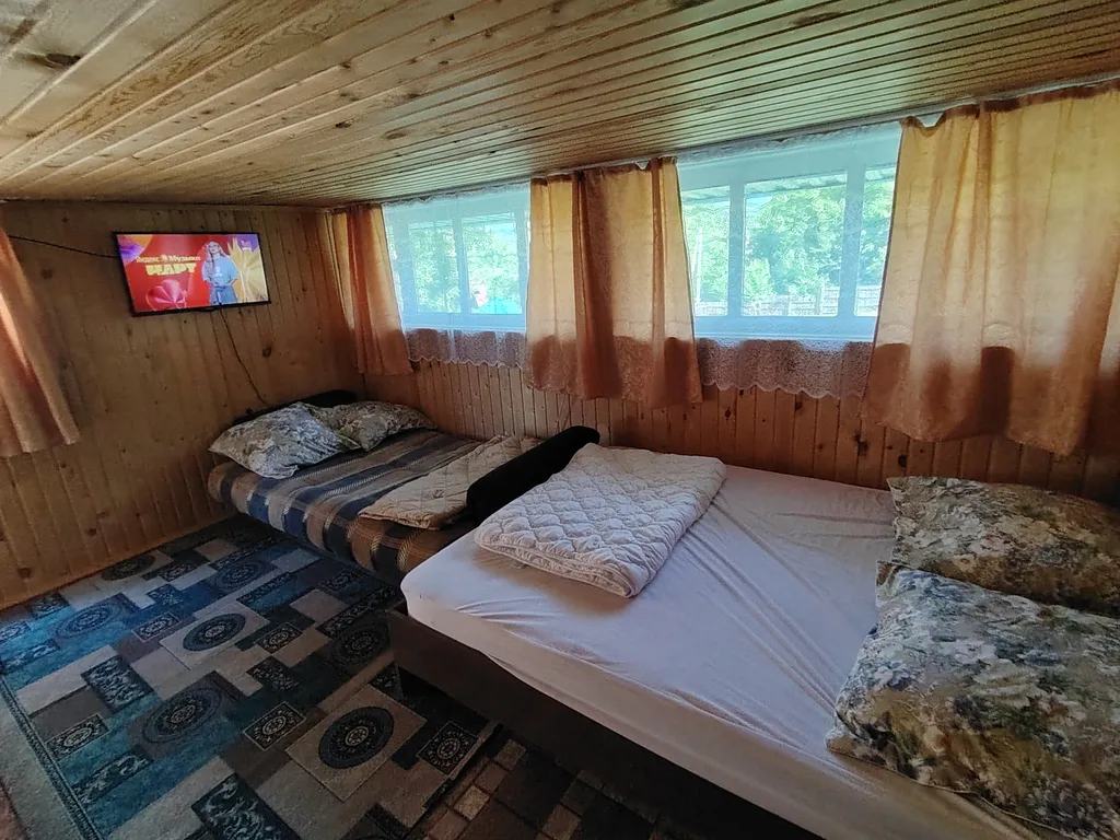 Летний номер с видом на березовый лес