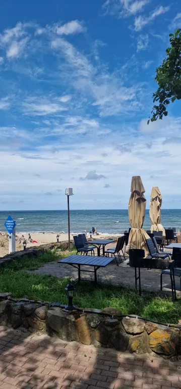 Апартамент с видом на лес