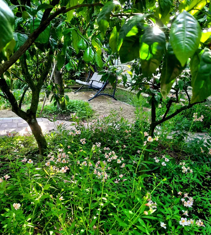 Уютный номер у моря