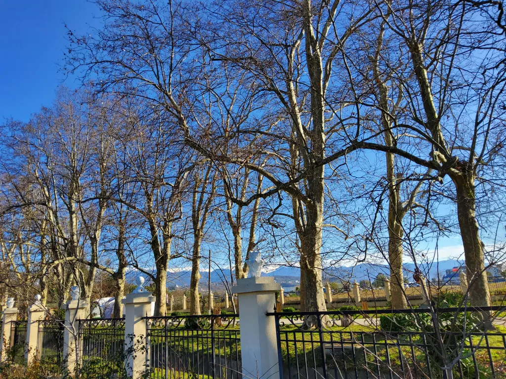 Квартира 1-комнатная Квартира — Сириус