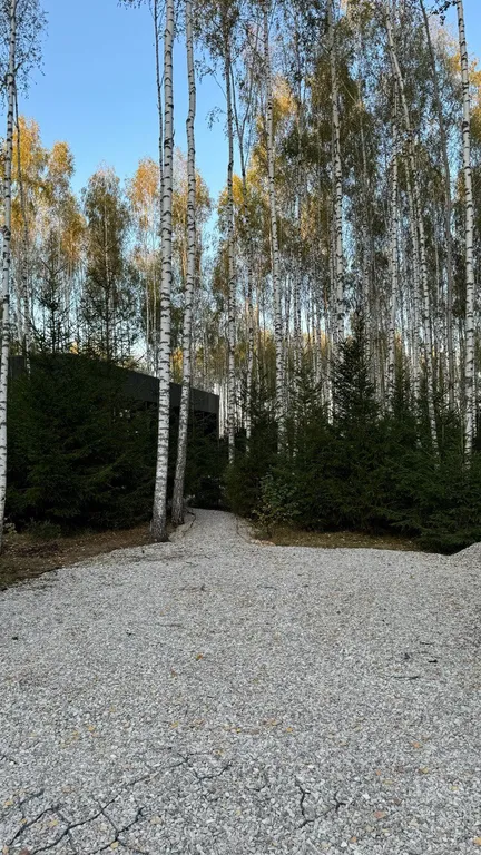 Коттедж Панорамный дом в окружении леса с сауной и чаном — Семеновское