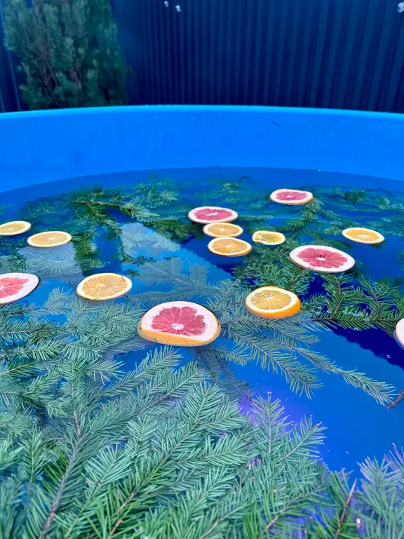 Барнхаус с сауной и купелью на 4-6 человек