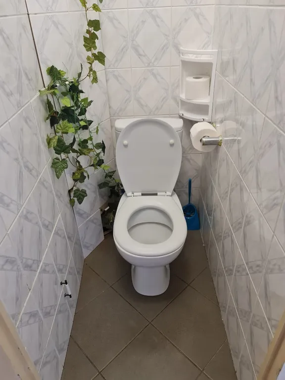 Квартира Уютная квартира для комфортного отдыха — Светлогорск