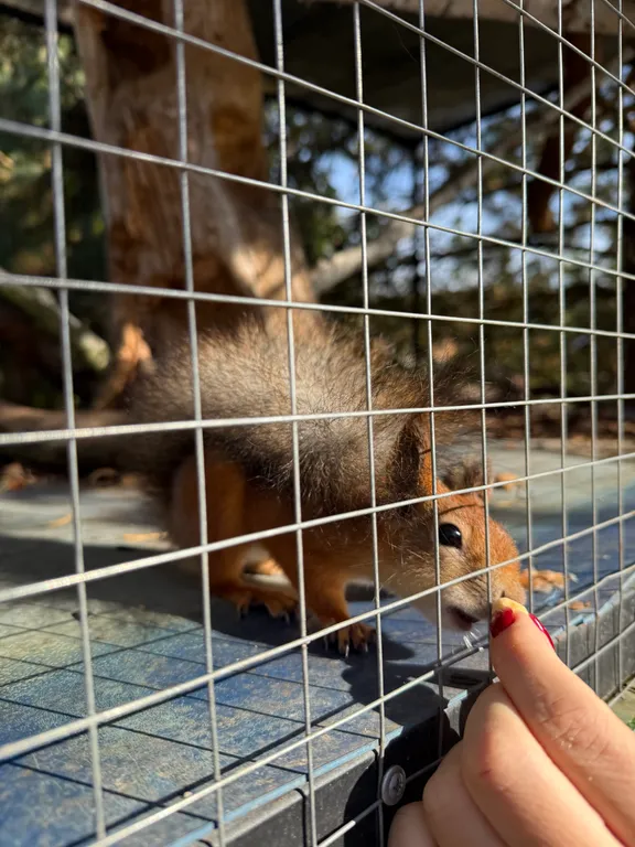Коттедж Уютный дом на базе отдыха у воды Бабин двор — Васюково