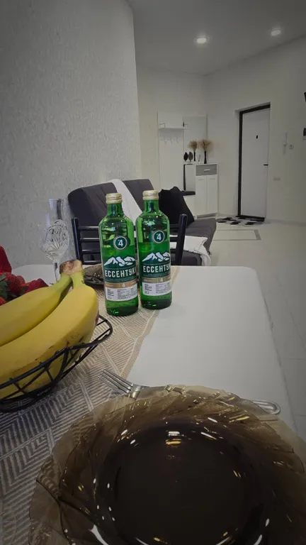 Уютная квартира в центре города с видом на курортный парк