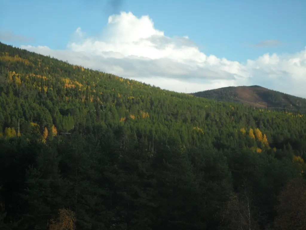 Квартира в центре города в живописном районе