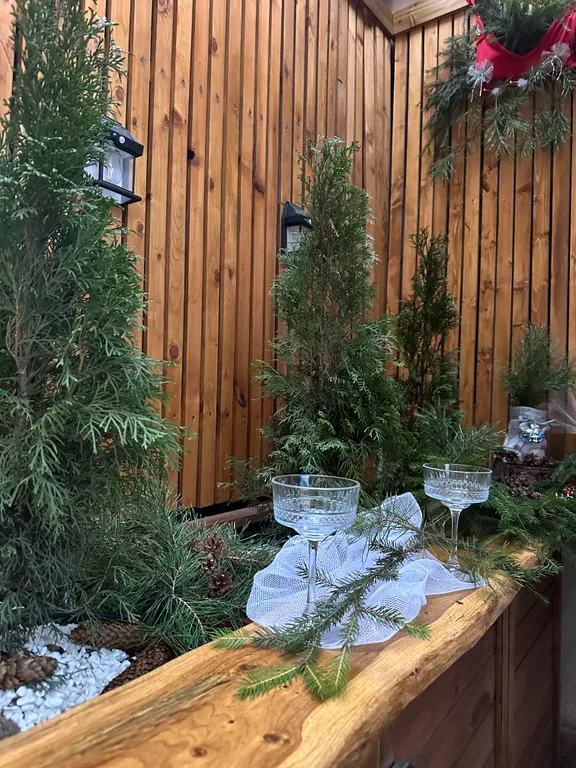 Vip квартира