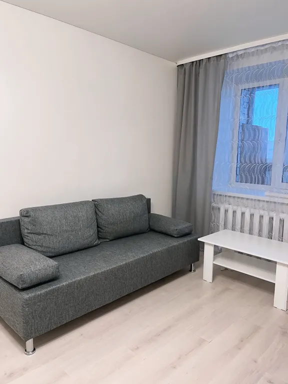 Уютная однокомнатная квартира