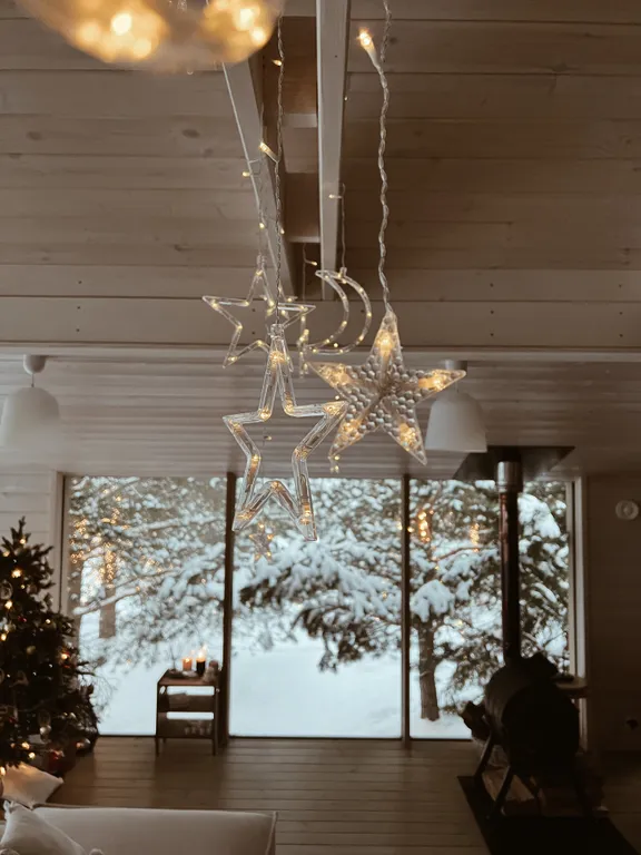 Коттедж Дубль дома с панорамными окнами на сосны — Семеновское