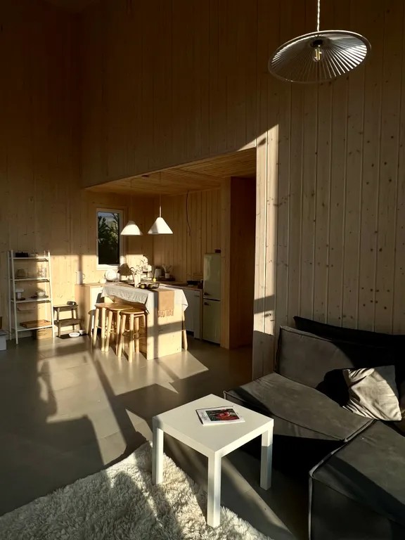 Уютный стильный новый дом с баней в окружении берёзовой рощи