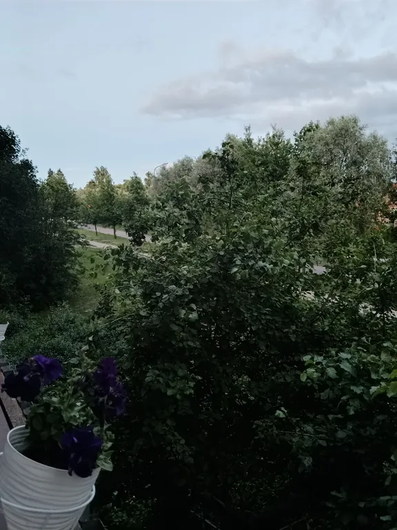 Уютная однокомнатная квартира