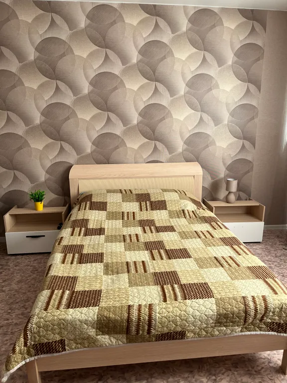 Уютная квартира на квартале Дружный — аренда посуточно в Барнаул