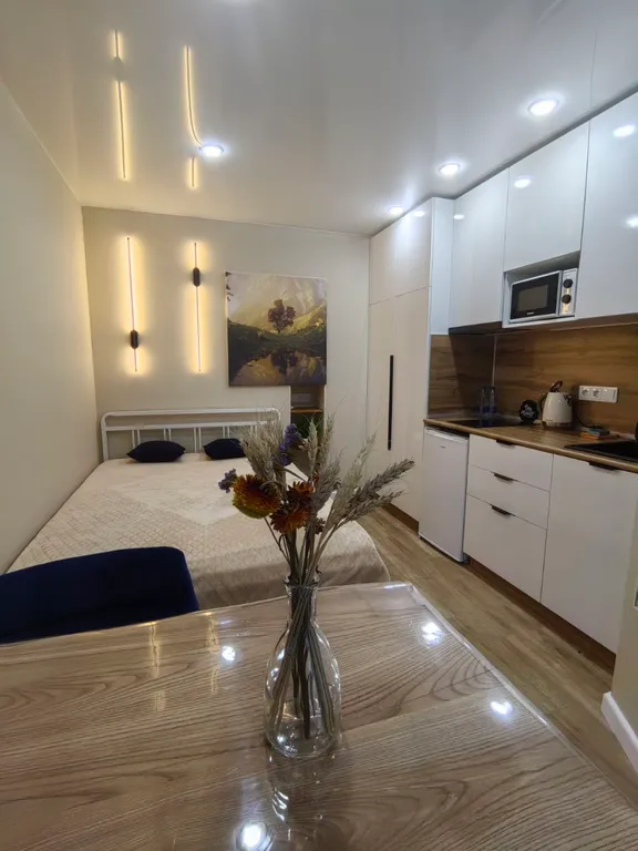 Красивая, уютная студия mira ii