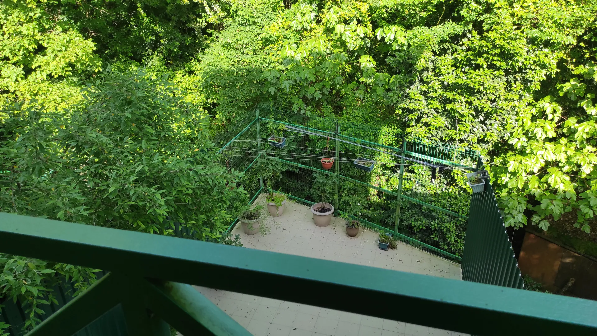 Вид на барбекю зону и лес с балкона второго этажа