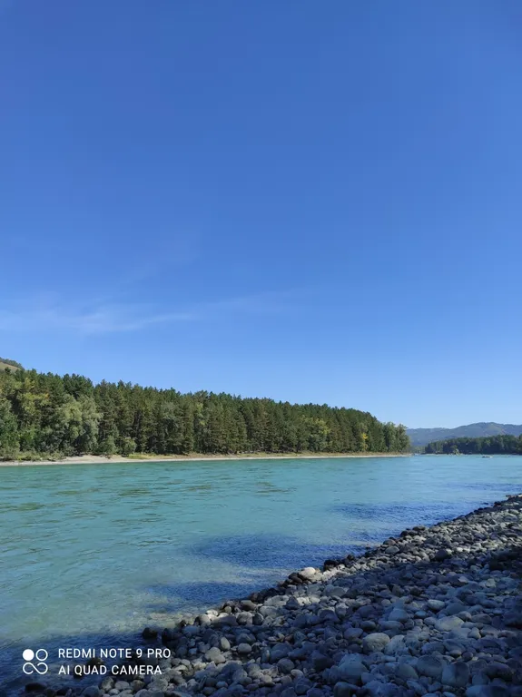 Дом фэмили-ложд