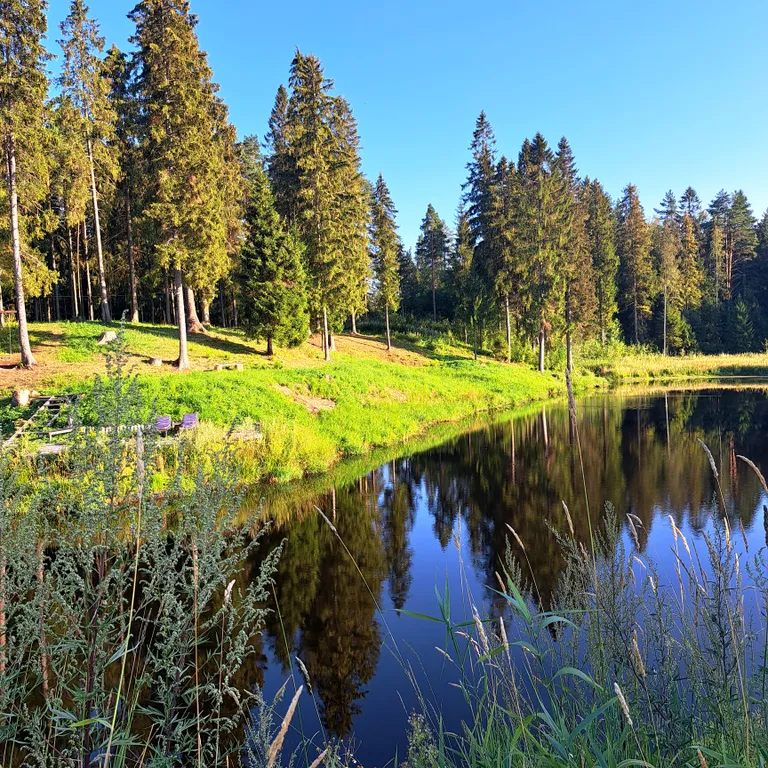 Коттедж Коттедж Экоуют в стиле кантри — Сясьстрой