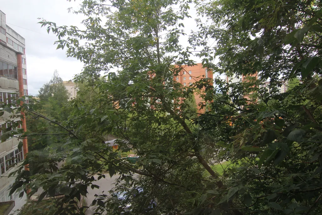 Просторная квартира Премиум